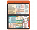 WhiteCoat Clipboard® - Orange Occupational Therapy Edition